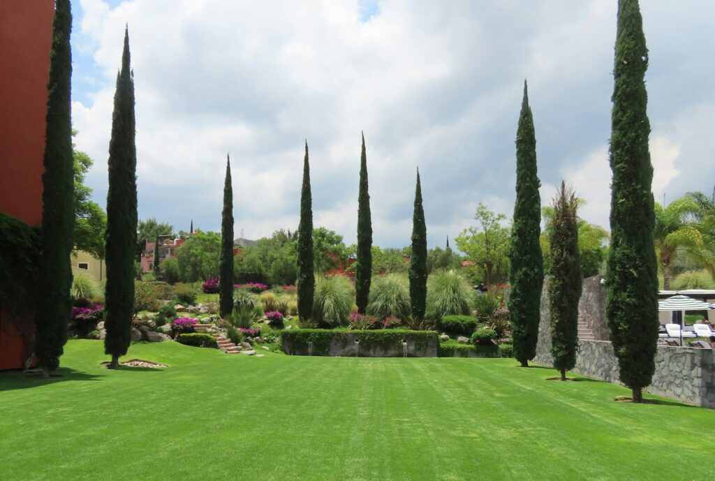 Jardín con cipreses y áreas verdes